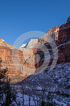 Winter Landscape in Zion National Park Utah