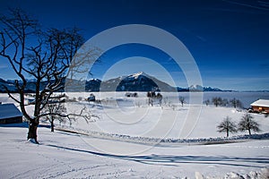 Winter landscape Zugerberg with Rigi and Pilatus