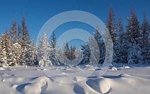 Winter landscapes