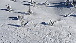 Winter landscapes and beauties of nature, trees, snow patterns