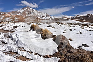 Winter landscapes of the mountains of the Cordillera de Lipez, in Sur Lipez Province, Potosi department, Bolivia