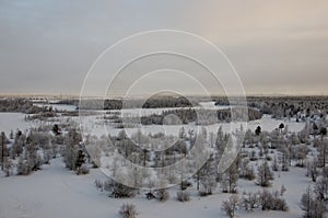 Winter landskape with forest in snow in the evening sunset. North