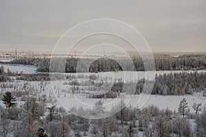 Winter landskape with forest in snow in the evening sunset. North