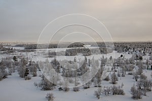 Winter landskape with forest in snow in the evening sunset. North