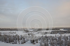 Winter landskape with forest in snow in the evening sunset. North