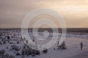 Winter landskape with forest in snow in the evening sunset. North
