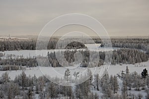 Winter landskape with forest in snow in the evening sunset. North