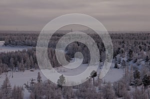 Winter landskape with forest in snow in the night. North