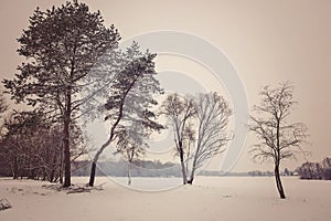 Winter landscape in Kersko, Czech Republic