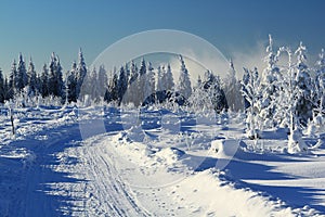 Winter Lanscape, Å umava Mountains, Eisenstein