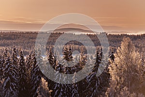 Winter in Lapland, Sweden, Norrbotten photo