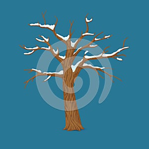 Winter, late autumn season icon, symbol. Single bare, leafless tree with snow covered branches isolated on blue background.