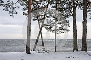 Winter in Latvia