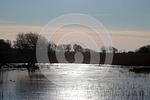 Winter at Leighton Moss nature reserve