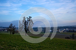 Winter light over Uitikon's quiet fields