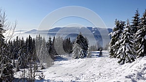 Winter in Little Fatra, Turiec Region, Slovakia