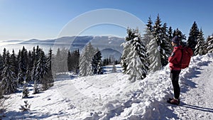 Winter in Little Fatra, Turiec Region, Slovakia