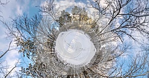 Winter little planet transformation with curvature of space. full spherical panorama in snowy landscape in pine forest on blue sky