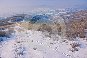 Winter Loess Plateau scenery