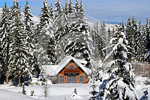 Winter Log Home