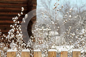 Winter with lots of snow in Russian countryside