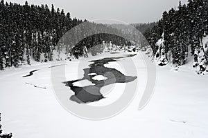 Winter Madison River Yellowstone