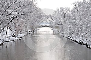 Winter in Madison, Wisconsin photo