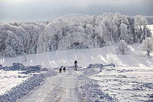 Winter magic scene on a Mountain in Romania