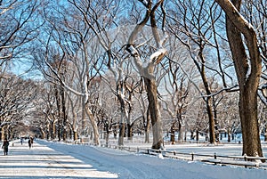 Winter on the Mall