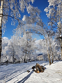 Winter in Marisel near Cluj-Napoca