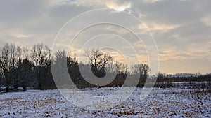Winter marsh landscape covered in snow with bare trees on a cloudy evening sky