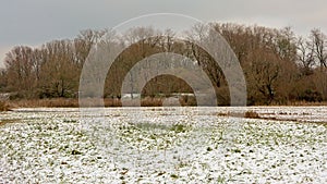 Winter in the marshland sof bourgoyen nature reserve photo