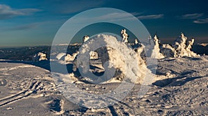 Zima na Martinských holiach v Malej Fatre na Slovensku so zasneženými kríkmi a kopcami v pozadí