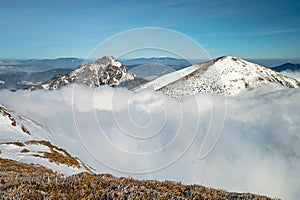 Zimné lúky. Pohorie Karpát. Malá Fatra, Slovensko. Foto vo vysokej kvalite