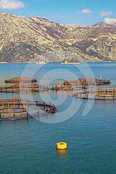 Winter Mediterranean landscape with fish farm and two small islands in Kotor Bay. Montenegro