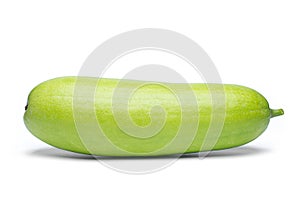 Winter melon, White gourd, Winter gourd, Ash gourd, tallow gourd, ash pumpkin, on white background