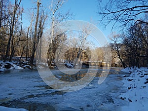 Winter in the Metropark