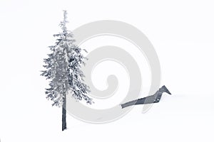 Winter minimalistic landscape. Old wooden hut on the lawn covered with snow. Pine tree in the snowdrifts. Snowy background.