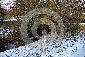 Winter mood at the river