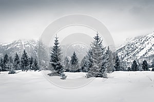 Winter mood in Val di Fassa, Dolomites, Italy