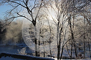 Winter Morning