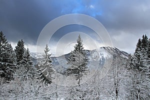 Winter morning in Alps