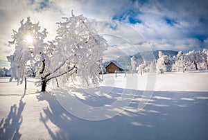 Winter morning in the Carpathian village.