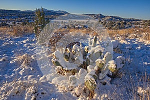 Winter morning in Chino Valley AZ