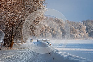 Winter morning in the city park of Khmelnitsky