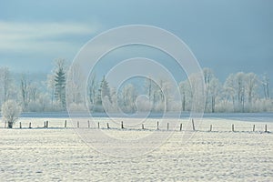 Winter frozen morning