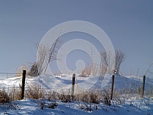 Winter Morning and Fencing