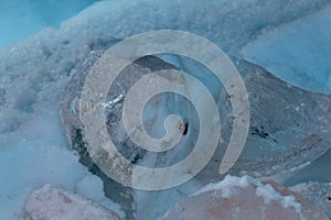 Winter morning in an ice cave photo