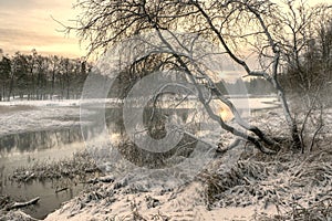 Winter morning on the lake with fog and trees