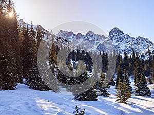 Winter morning mountain landscape